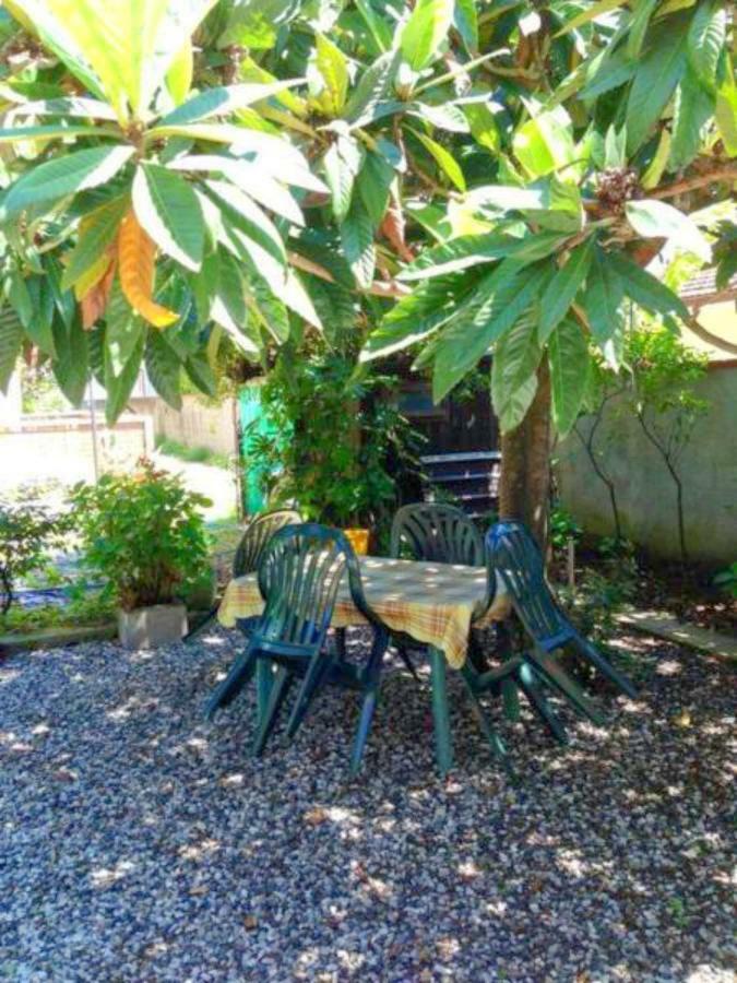 Eco B&B I Due Oleandri Marina Di Carrara Extérieur photo